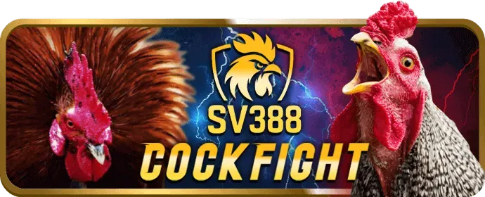 Công cụ hỗ trợ người chơi sodo55